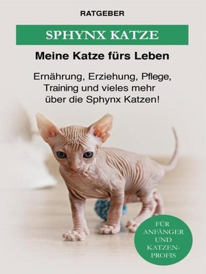 cover image of Sphynx Katze
